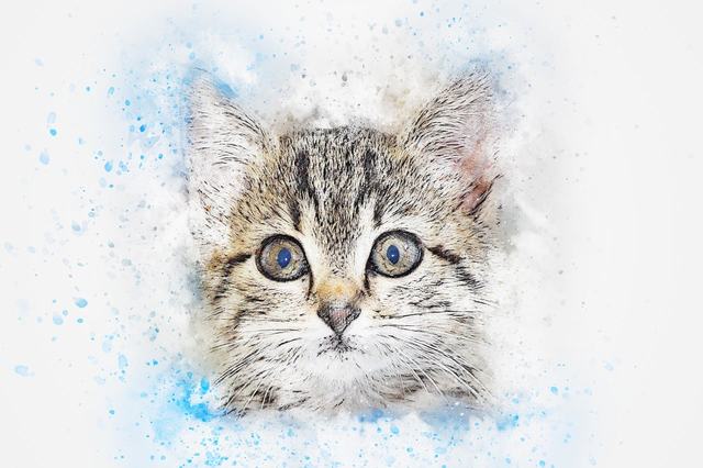 6月生猪出栏计划环比微降  中上旬生猪实际供应或仍充沛