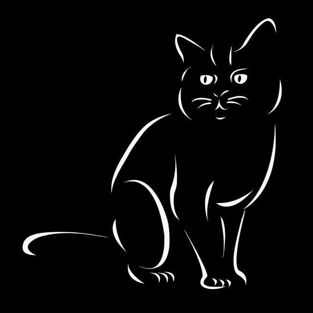 色虎污下载最新版下载-色虎污下载手机版正版wwwvv42iphone版_sqlmodel安卓网截图4