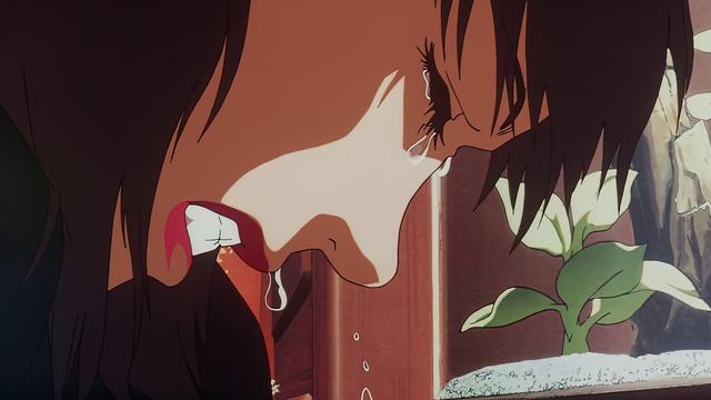 8868体育安卓版