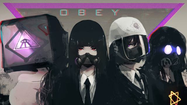 上海优化作业管理 每周一天